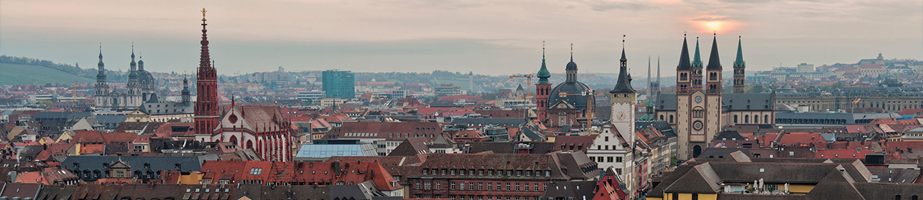 Würzburg Skyline