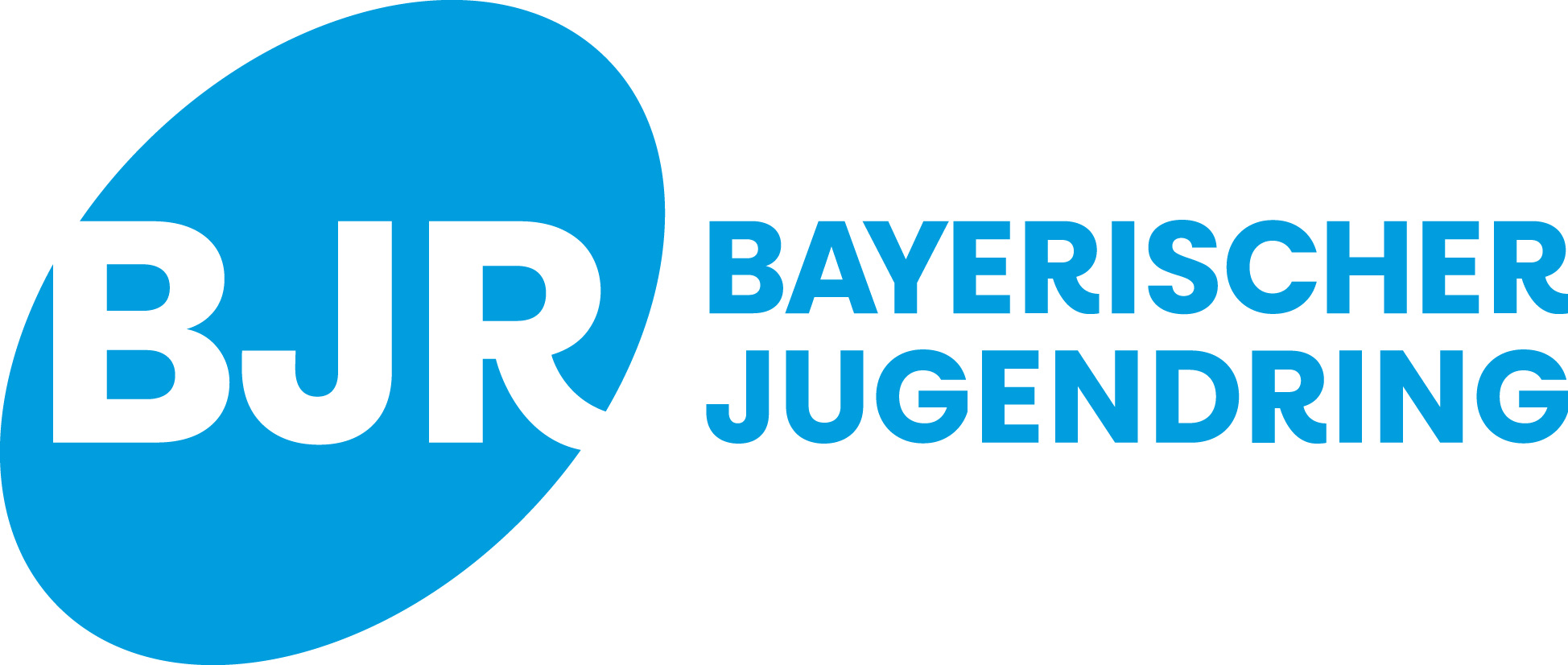BJR Logo Hauptlogo blau